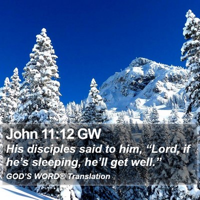John 11:12 GW Bible Verse Image