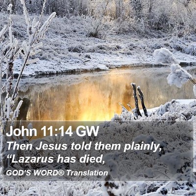 John 11:14 GW Bible Verse Image