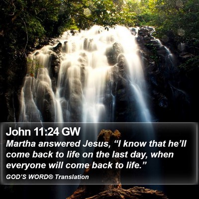 John 11:24 GW Bible Verse Image