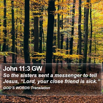 John 11:3 GW Bible Verse Image