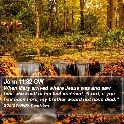John 11:32 GW Bible Verse Image