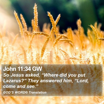 John 11:34 GW Bible Verse Image