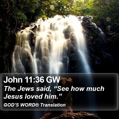 John 11:36 GW Bible Verse Image