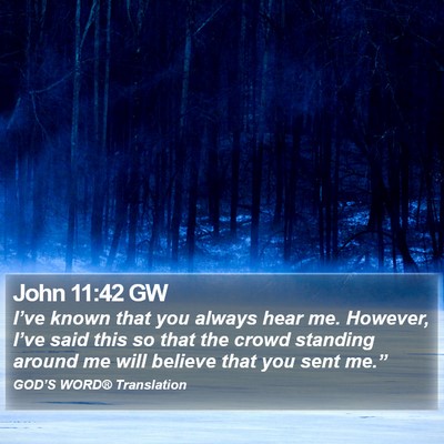 John 11:42 GW Bible Verse Image