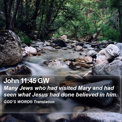 John 11:45 GW Bible Verse Image