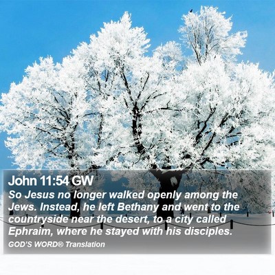 John 11:54 GW Bible Verse Image
