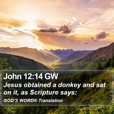 John 12:14 GW Bible Verse Image