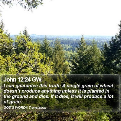 John 12:24 GW Bible Verse Image