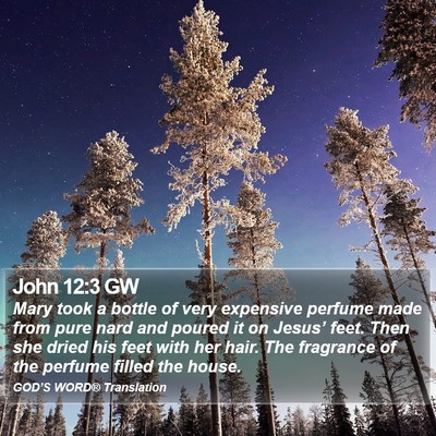 John 12:3 GW Bible Verse Image