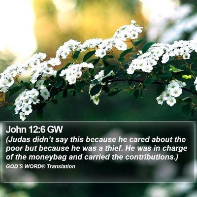 John 12:6 GW Bible Verse Image