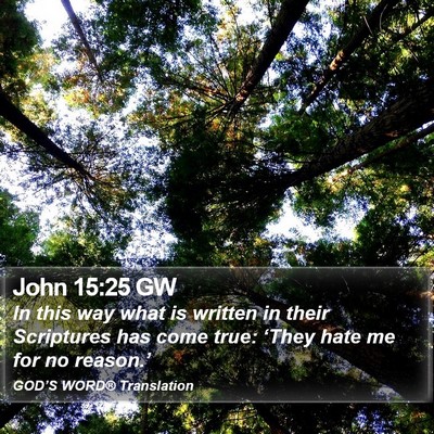 John 15:25 GW Bible Verse Image