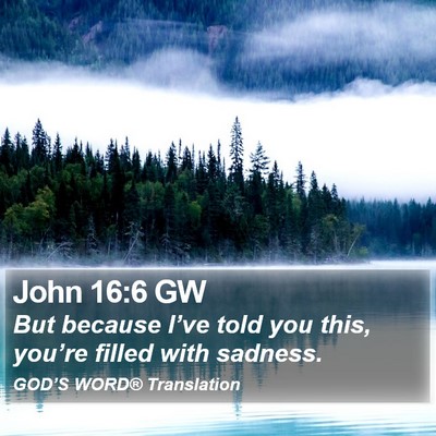 John 16:6 GW Bible Verse Image