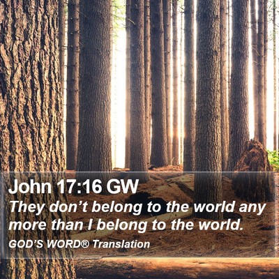 John 17:16 GW Bible Verse Image