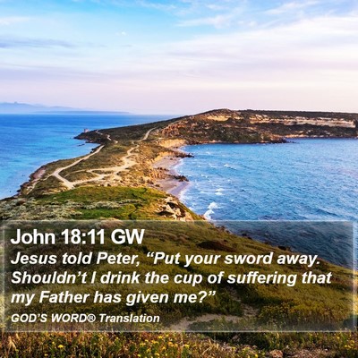 John 18:11 GW Bible Verse Image
