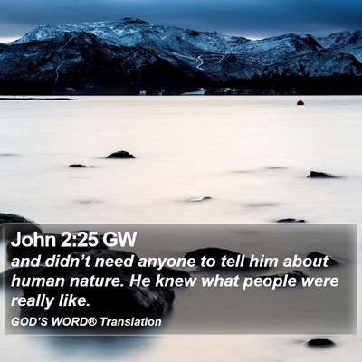 John 2:25 GW Bible Verse Image