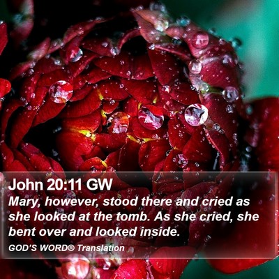 John 20:11 GW Bible Verse Image