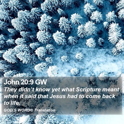 John 20:9 GW Bible Verse Image