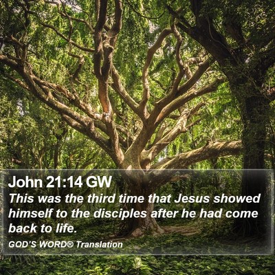 John 21:14 GW Bible Verse Image