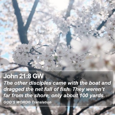 John 21:8 GW Bible Verse Image