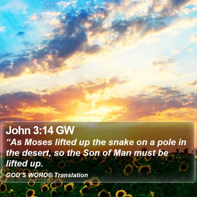 John 3:14 GW Bible Verse Image