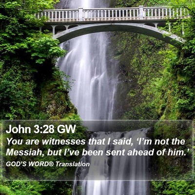 John 3:28 GW Bible Verse Image