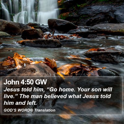 John 4:50 GW Bible Verse Image