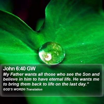 John 6:40 GW Bible Verse Image