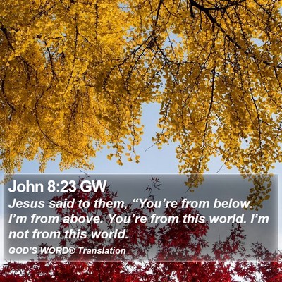 John 8:23 GW Bible Verse Image