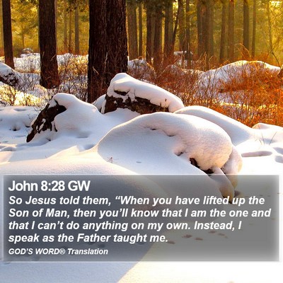 John 8:28 GW Bible Verse Image