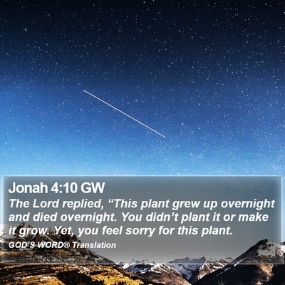 Jonah 4:10 GW Bible Verse Image