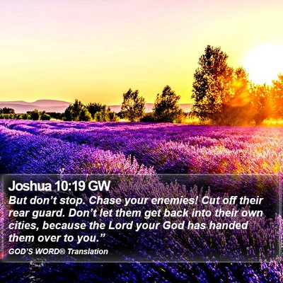 Joshua 10:19 GW Bible Verse Image