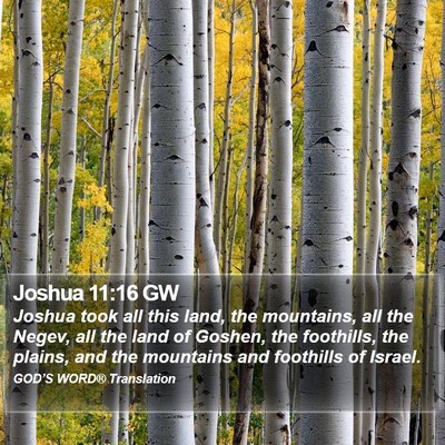 Joshua 11:16 GW Bible Verse Image
