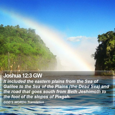 Joshua 12:3 GW Bible Verse Image
