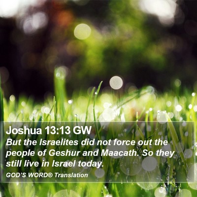 Joshua 13:13 GW Bible Verse Image