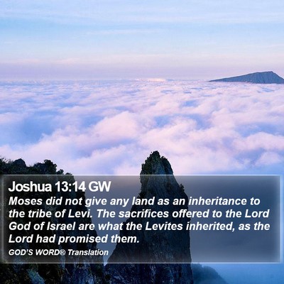 Joshua 13:14 GW Bible Verse Image