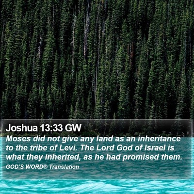 Joshua 13:33 GW Bible Verse Image