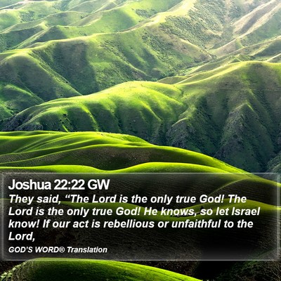 Joshua 22:22 GW Bible Verse Image