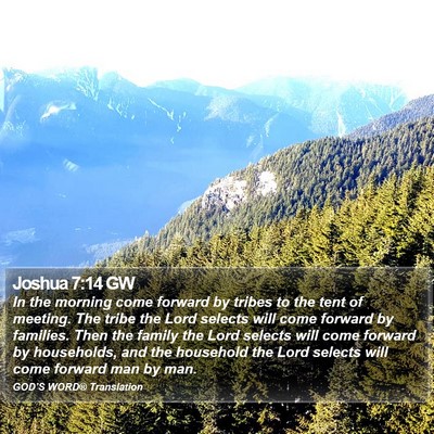 Joshua 7:14 GW Bible Verse Image