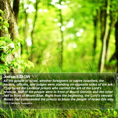Joshua 8:33 GW Bible Verse Image