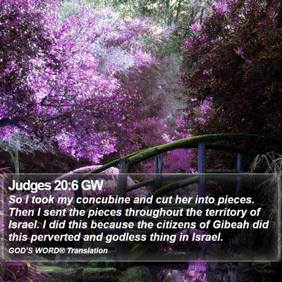 Judges 20:6 GW Bible Verse Image