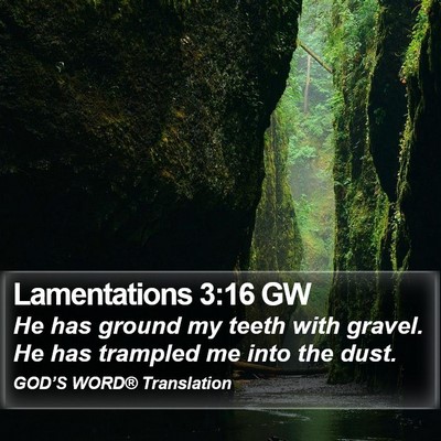 Lamentations 3:16 GW Bible Verse Image