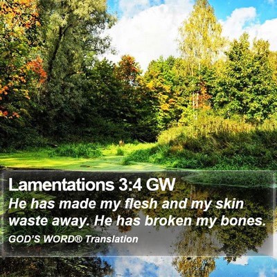 Lamentations 3:4 GW Bible Verse Image