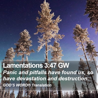 Lamentations 3:47 GW Bible Verse Image
