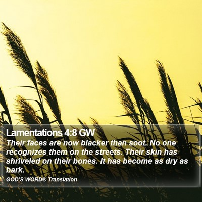 Lamentations 4:8 GW Bible Verse Image