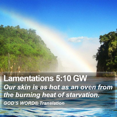 Lamentations 5:10 GW Bible Verse Image