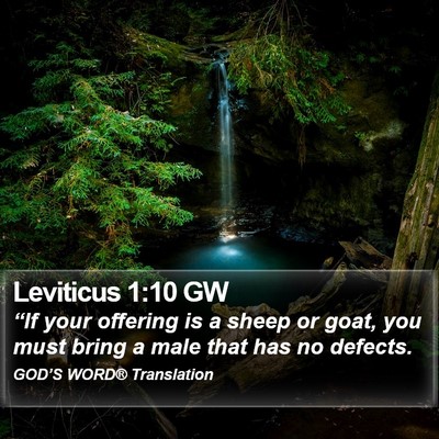 Leviticus 1:10 GW Bible Verse Image