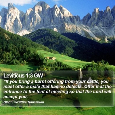 Leviticus 1:3 GW Bible Verse Image