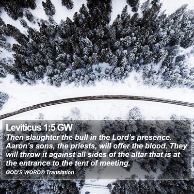 Leviticus 1:5 GW Bible Verse Image