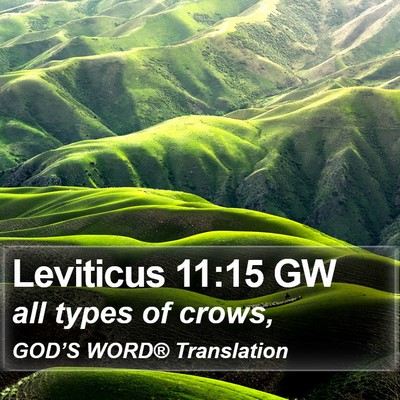 Leviticus 11:15 GW Bible Verse Image
