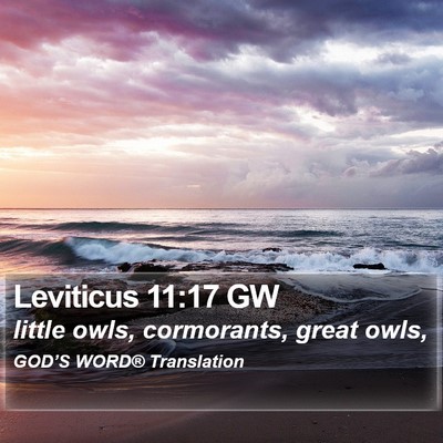 Leviticus 11:17 GW Bible Verse Image